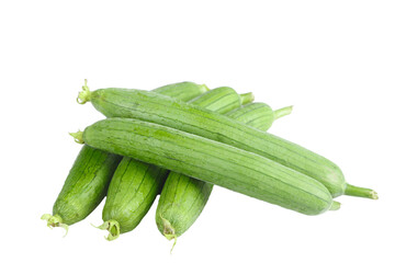 Fresh Shandong Silk Melons - Green Striped Longline Vegetables Isolated on White