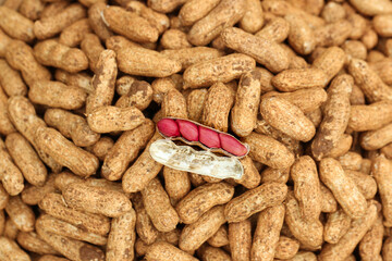Fresh Raw Peanuts in Shell with Red Skinned Nuts Revealed - Healthy Snack Food Photography