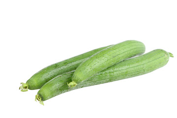 Fresh Shandong Silkmelon Longline Vegetables Isolated on White Background