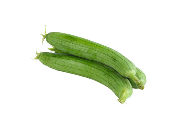 Fresh Green Luffa Gourds from Shandong Province Isolated on White Background