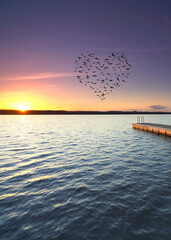 Fototapeta premium lovely sunset over the wooden pier with heart shaped birds