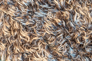 White soft wool texture background, cotton wool, light natural sheep wool, close-up texture of white fluffy fur, wool with beige tone, fur with a delicate peach tint