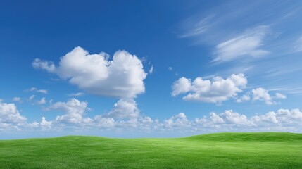 Fototapeta premium Lush Green Field Under a Bright Blue Sky with Fluffy White Clouds in a Serene Landscape Ideal for Nature and Outdoor Themes