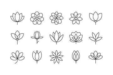 Collection of hand drawn line art floral elements and botanical illustrations