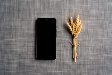 Smartphone and wheat on gray textured surface for digital agriculture concept use 90