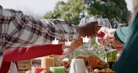 Clinking wine glasses, hands reaching across yard table, turkey, plaid, green sleeves, thumbs-ups