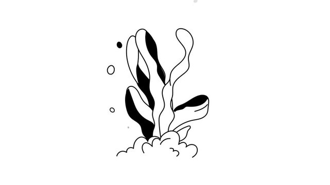 This stylized black and white icon animation depicts a seaweed plant rising from an underwater bed