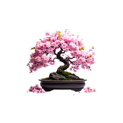 Beautiful pink flowers and green leaves in a flower pot on a white background