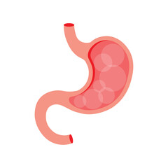 Obraz premium Stomach