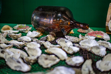 Nautical still life with oyster shells and reflected ship on bottle