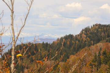 Autumn view from Tskhrajvari, Racha, Georgia.