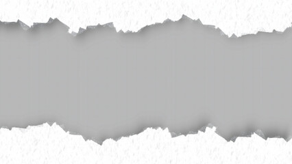 Obraz premium torn paper background