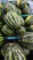 watermelons and melons