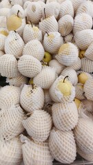close up of a pile of dried fish