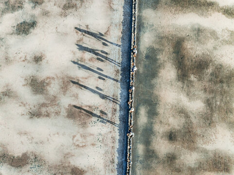 Aerial view of a long line of individuals casting shadows on a textured, arid landscape, Hon Khoi, Vietnam.