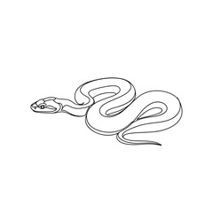 Naklejka premium Black outline drawing of a snake on white background 