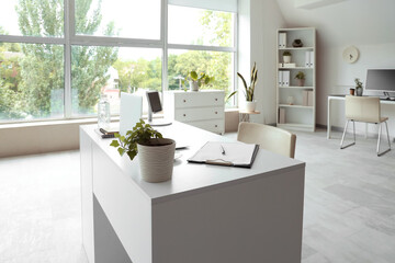 Workplace with laptop and plant in light office