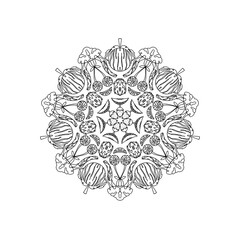 ornamental round frame mandala with the fruit and vegetables icon of artwork 