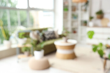 Blurred view of light living room with houseplants, green sofa and shelf unit