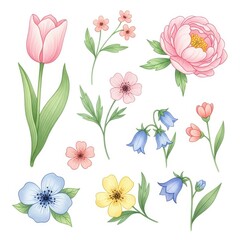 Delicate watercolor collection of assorted spring flowers