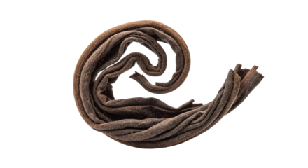 Closeup of a Brown Earthworm on Soil Surface.