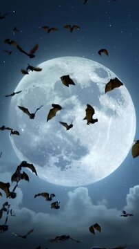 Vertical video: Opening on full moon bats entering flock crossing starry sky wispy clouds drifting