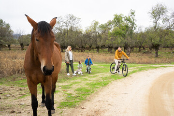 Family enjoying outdoor cycling activity with a gentle horse