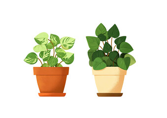 Obraz premium Two potted plants with leafy foliage