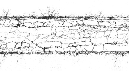 Black and white cracked texture with sparse bare tree branches against white background abstract