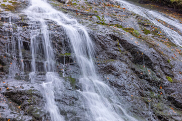 Cascading waterfall on mossy rocks with scattered autumn leaves.