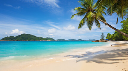 Obraz premium tropical beach with palm trees and sea