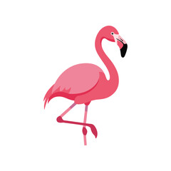 Elegant Pink Flamingo Standing on One Leg Illustration.