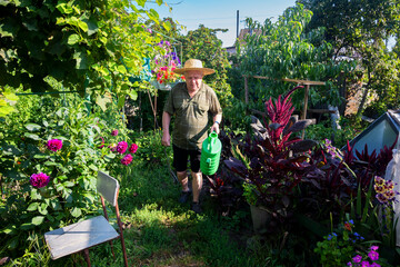 Elderly man with a straw hat and watering can walking through his vibrant summer garden filled with flowers and lush greenery. A peaceful scene of gardening and rural life.