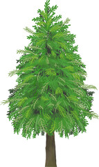 크리스마스 나무