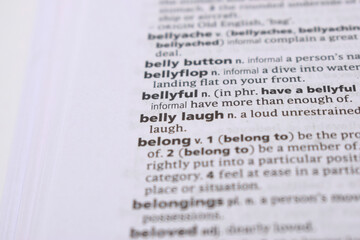 Fototapeta premium Close Up Of English Dictionary Page With Word - bellyful