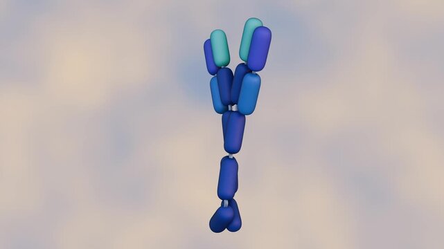 A 3d animation of a floating Immunoglobulin E or IgE molecule. The role is mediating allergic reactions and defense against parasitic infections.	