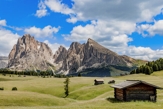 View over the alpine meadows with mountain cabins towards the Langkofel group with the peaks of Langkofel and Plattkofel on the Seiser Alm, Dolomites, South Tyrol, Italy.