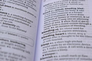 Obraz premium Close Up Of English Dictionary Page With Word - bleeding