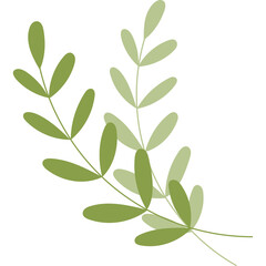 Delicate Twig With Two Toned Green Leaves Isolated On A White Background With Soft Lighting And A Gentle Sway