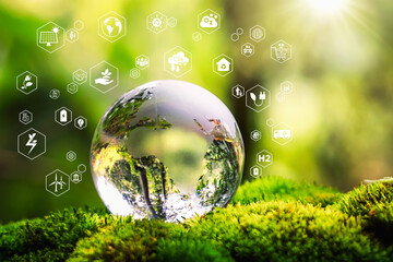 Glass globe in green forest with the icon environment of ESG, co2, circular company, and net zero.Technology Environment, society, and governance for sustainable business on green company Concept.