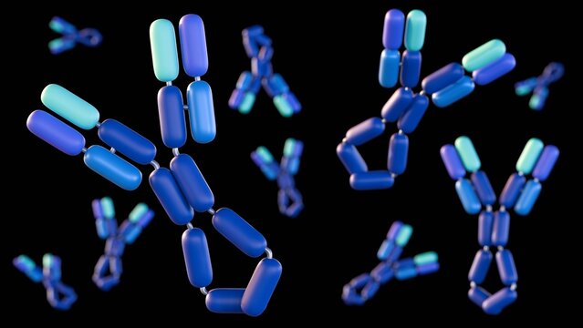 A 3d rendering of Immunoglobulin E or IgE exists as a single Y-shaped molecule. The role is mediating allergic reactions and defense against parasitic infections.