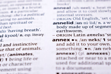 Fototapeta premium English Dictionary Page Close Up With the Word Of -annex