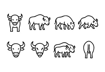 Fototapeta premium Set of line art illustrations depicting various views of bulls and bison. Includes full body, headshots, and rear views, ideal for branding, iconography, or educational materials.