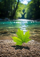 Photo of a vibrant green maple leaf rests on the sandy shore of a crystalclear river, summer day