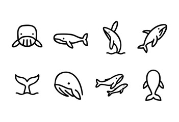 Naklejka premium Set of eight simple line art illustrations of whales in various poses, including swimming, breaching, and showing tails. Perfect for children's books, websites, or educational materials.