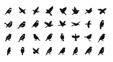 Collection of various flower outline illustrations in black and white, featuring different floral designs and shapes.