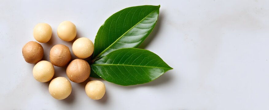 Macadamia nuts lie scattered next to a green leaf on a pristine surface