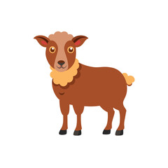 vector illustration of a sheep