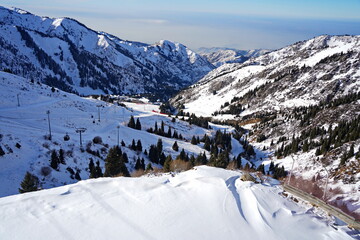 Medeo. A mountain gorge, with different vegetation and fir trees. First snow.