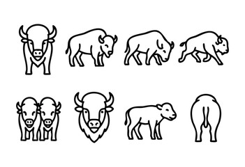 Obraz premium Set of line art illustrations of bison in various poses, including front, side, and back views, as well as a pair and a calf. Simple, bold black outlines on a white background. Perfect for logo design